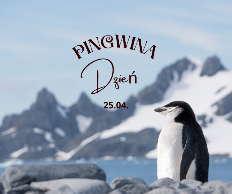 Dzień Pingwina